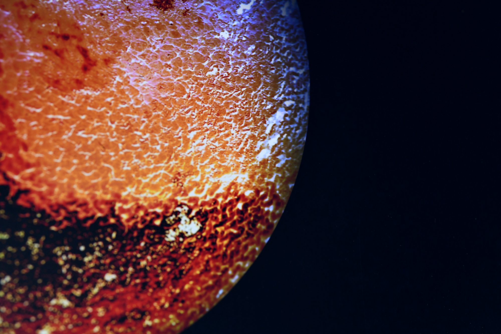 detail alimenterre reujiper eolphoto